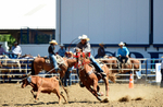 3HRodeo8-11-25_PRCASteer_02819_