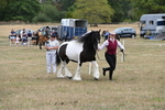 WJ6_5354