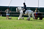 SBM_09337