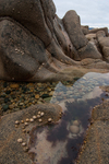 Inishowen Granite 2 (06081543)