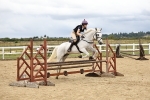 SBM_003338