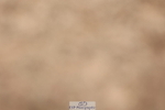 240621A-112145-00428