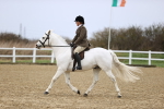 SBM_007557