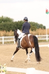 SBM_005556