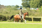 SBM_67447