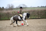 SBM_007973