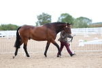 SBM_05694