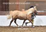 BPP_0837