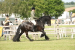 SBM_09541