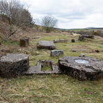 Dartmoor portfolio