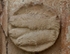 Façade portal, right pilaster relief, fishes