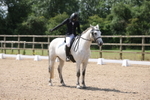 Unaffiliated Dressage portfolio