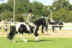 SBM_67577