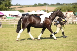 SBM_18719