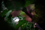 DSC00712