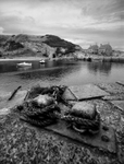 Harbour Scene