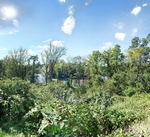 Snake Road, Catskill, NY