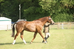 SBM_10436