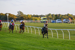 300926-Race 8-Jojo Rabbit-7172