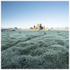 Hore Abbey, Cashel, Co Tipperary