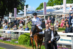 Race 5 4.15pm Irish Thoroughbred Marketing Handicap portfolio