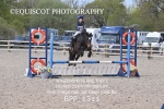 BPP_1311