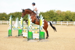 SBM_003499