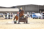 SBM_001661