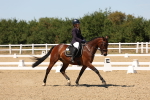 SBM_002909