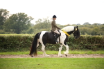 Ridden Horse Supreme Championship portfolio