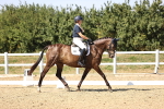 SBM_006533