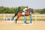 SBM_000262