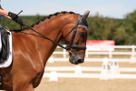 SBM_002868