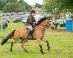 Dunblane show-530