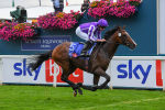 230823-Race 3-Continuous-0472
