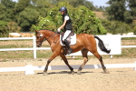 SBM_012425