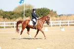 SBM_017025