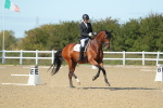SBM_002174