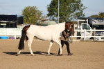 SBM_08307