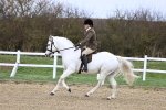 SBM_006953