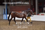 BPP_0910
