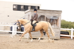 SBM_04208