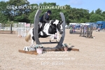 BPP_8334