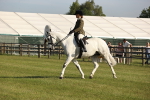 SBM_10677