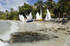 Bequia Easter Regatta_Heineken Challenge - Race II - Local Fishing Boa