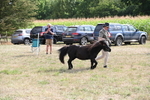 WJ6_7044