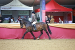 SBM_10644