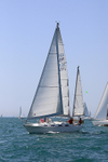 190629 SEA THYME GBR3571L 1Y3A0427_Edit