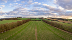Ropley rows