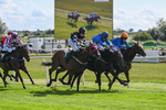 Race 1 portfolio